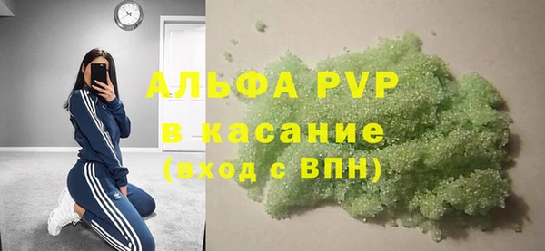 сатива Белокуриха