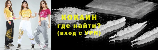 сатива Белокуриха