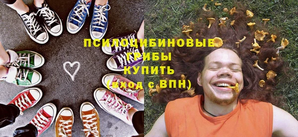 гидра Белоозёрский