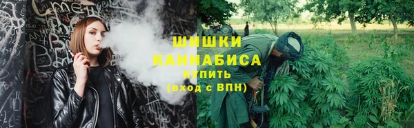 гидропоника Богданович