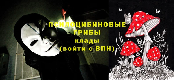 мдма Богородицк