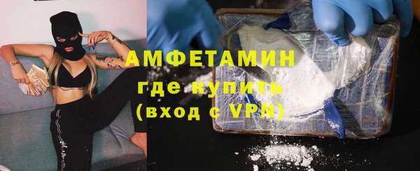 сатива Белокуриха