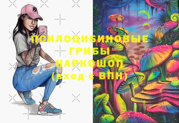 гидра Белоозёрский
