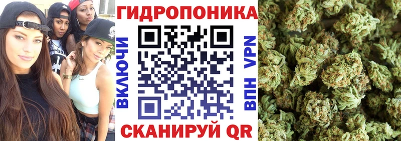 Конопля AK-47 Будённовск